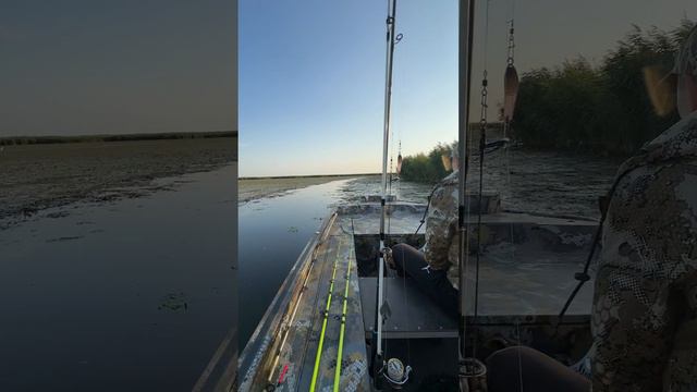 лодка болотоход Модель 4816. затон черепашковый смотреть онлайн