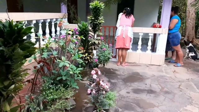 Vida En El Campo! Conoces Esta Planta Llamada Maguey? смотреть онлайн