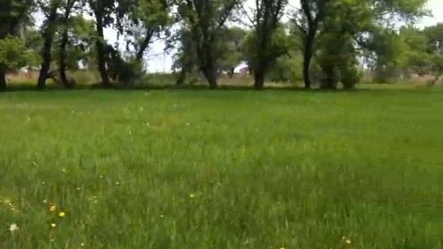 На велике возле Луганске смотреть онлайн