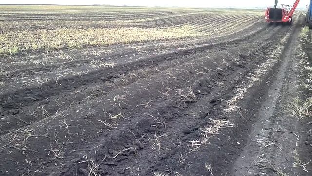 Агродирект представляет GT 170 - картофелеуборочный комбайн элеваторного типа от GRIMME смотреть онлайн