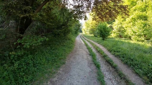 HAPPY VALLEY Walking Tour - Box Hill - Surrey - England (4K) смотреть онлайн