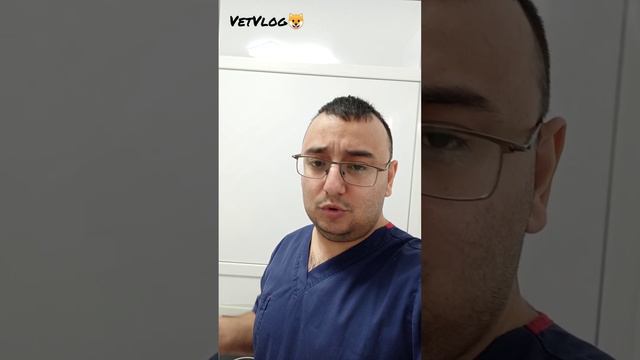 Заболел наш Зума, часть 1 смотреть онлайн