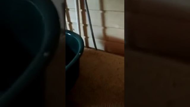 Чистим ковры легко! смотреть онлайн