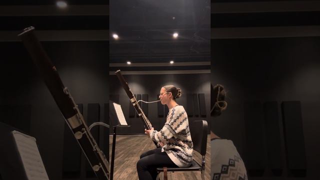 Charlotte Zgliczynski ADRIT Audition 2024 (Mozart Bassoon Concerto in Bb Major -Rondo) смотреть онлайн
