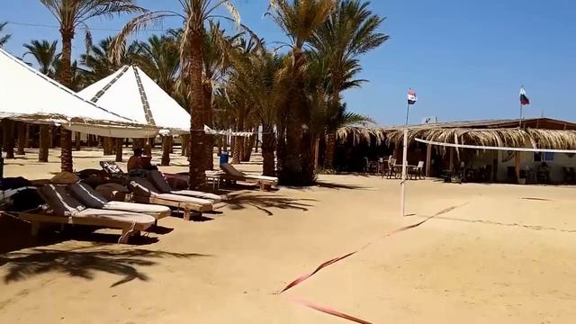 Palm Royale Soma Bay, Egypt 2014 смотреть онлайн