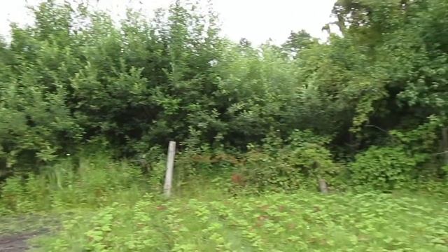 Продам участок 12соток с.Гуйва Житом.обл.15000$ смотреть онлайн