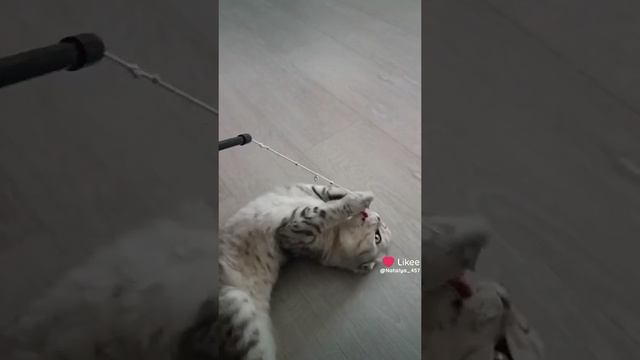 У вас есть такие деньги 💰?