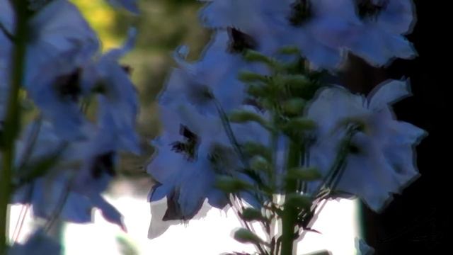 2 : 22 of Pure Eden - YouTube смотреть онлайн