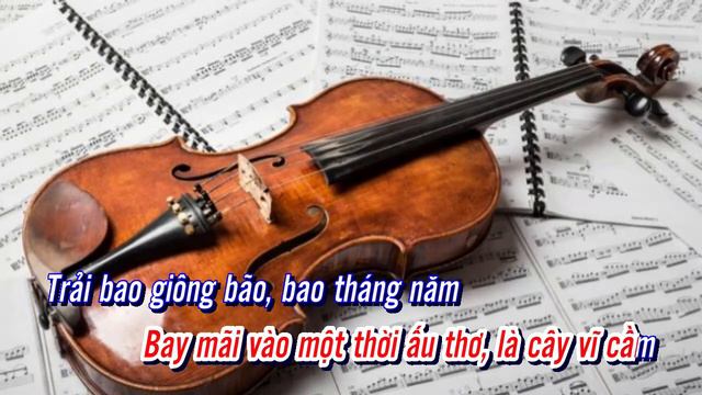 KARAOKE CÂY VĨ CẦM | NGUYỆT HẠ