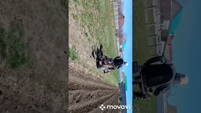 Посадка картофеля мотоблоком смотреть онлайн