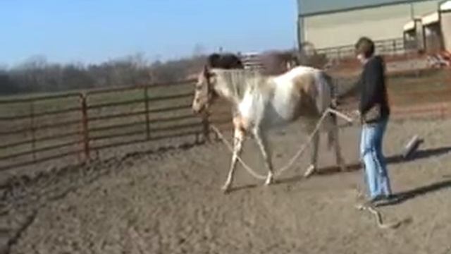 OL2 Task 1 7 Games/Dreamer смотреть онлайн