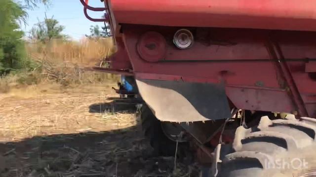 Подсолнух Шенон 18ц/га? КЕЙС 2166 смотреть онлайн