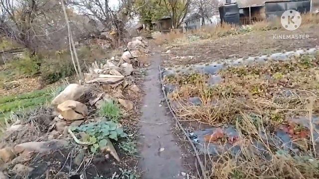 Наконец-то свершилось !!! Привёз ещё теплицу. смотреть онлайн