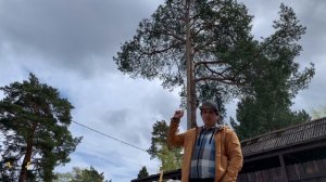 Заливаем колонны и оконные перемычки в доме из газобетона. Армирование перемычек и колонн Сестрорец