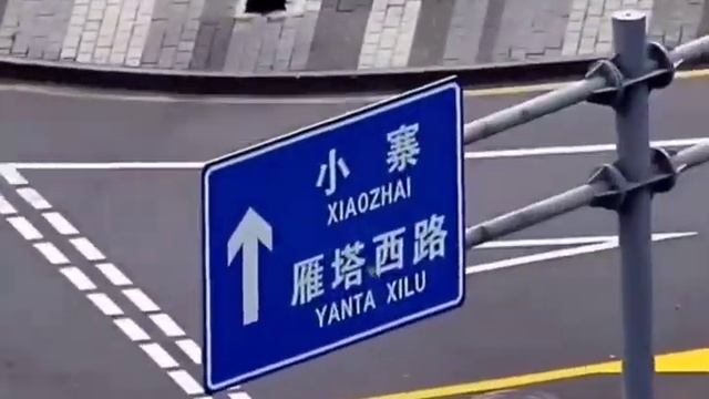 Двойная Камера Hikvizion 360 с зумом х36 смотреть онлайн