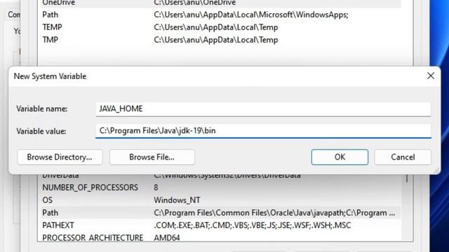 How to Download & Install Java JDK 19 on Windows 11 with JAVA HOME смотреть онлайн