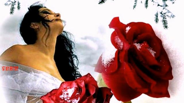 474. Ислам Итляшев - Она Любила Розы. ГЛАЗА ЕЁ НЕЛЬЗЯ ЗАБЫТЬ... смотреть онлайн