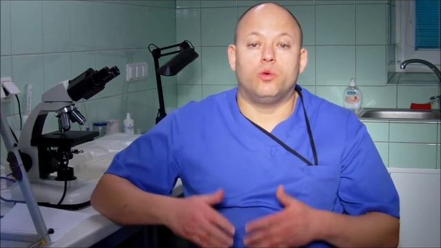 Исскуственное осеминение собак. 1 часть смотреть онлайн