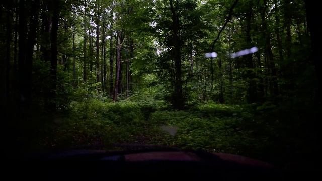 Застрять в глухом лесу в ночь. Что ты знаешь о боли? смотреть онлайн