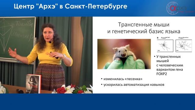 Светлана Бурлак: "Происхождение языка: новые успехи" смотреть онлайн