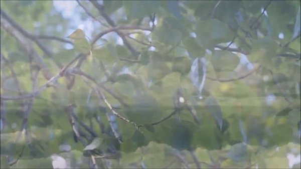 Reiki 2 Minute Timer with Armenian Flute Music ~ 26 x 2 Min Tibetan Bell Timer