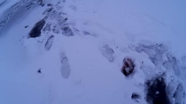 Паук на льду смотреть онлайн