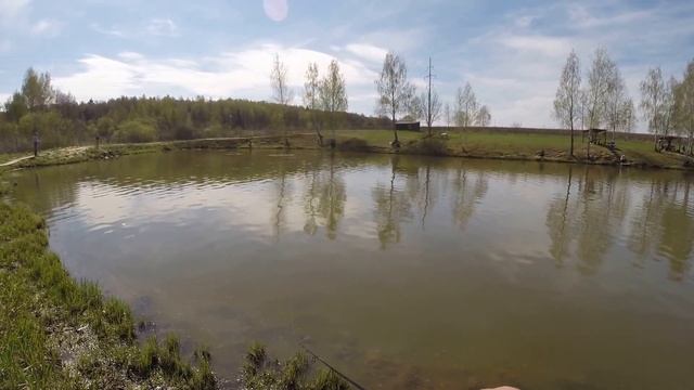 Маленький сом на маленькую вертушку!!!! смотреть онлайн
