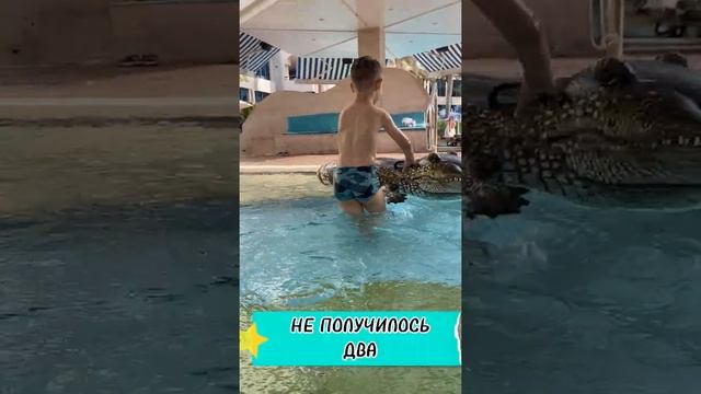 Как оседлать крокодила. Игры в бассейне. Огромный надувной крокодил.