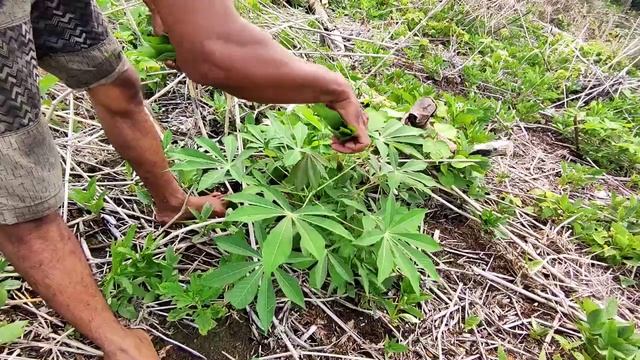 Peaceful Life Heavy Rain Nature Life Build Farm Make To Shelter In Forest