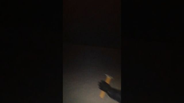 ходим ночью по лесу где есть волки ?? ШОК УВИДЕЛ ВОЛКА смотреть онлайн