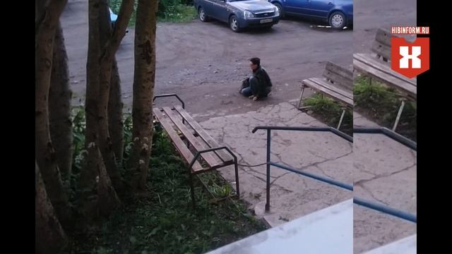 Кто то кого то выгуливает смотреть онлайн