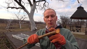 ЧЕМ ЗАМАЗАТЬ СРЕЗЫ ПОСЛЕ ОБРЕЗКИ ДЕРЕВЬЕВ