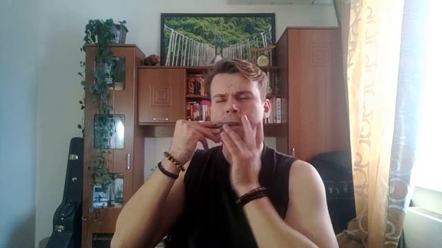 Danheim  - Ymir (Jaw Harp Cover)
