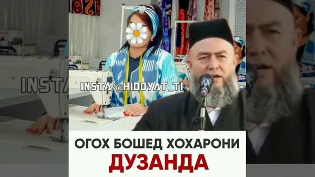 Насихат барои занхои дузанда смотреть онлайн