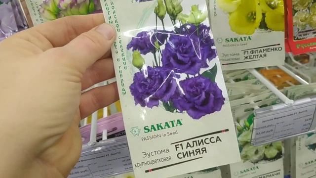 Семена эустомы Выбор смотреть онлайн