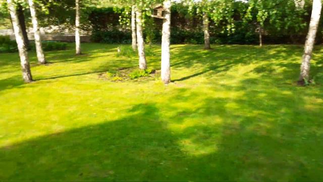 Как всё выглядит у нас весна 2019 2 версия смотреть онлайн