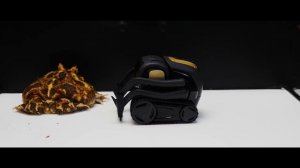 ЧТО ЕСЛИ РОБОТ ANKI COZMO И ANKI VECTOR УВИДЯТ ОГРОМНОГО ПАУКА? ДВА ИСКУССТВЕННЫХ ИНТЕЛЛЕКТА VS ПАУ