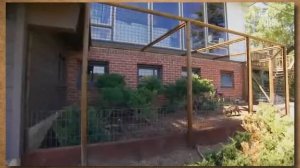 Кошки породы Саванна