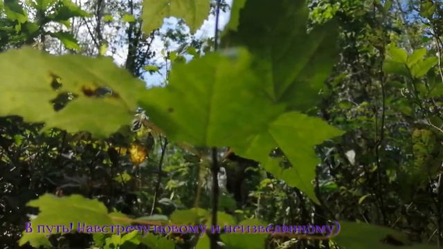 Землянка.Возвращение. Сорок лет спустя.