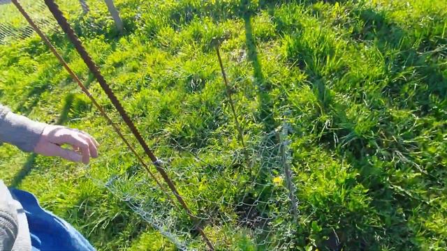 Жизнь в деревне. Наступила настоящая весна. Что посадили на огороде смотреть онлайн
