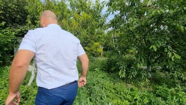 ДОМА и земельные УЧАСТКИ в пригороде Геленджика || Село БЕРЕГОВОЕ: инфраструктура, ОТЗЫВЫ жителей смотреть онлайн