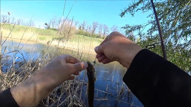 Ловля щуки на малой реке Волчья. смотреть онлайн