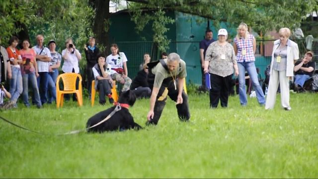стенка на стенку, охрана места смотреть онлайн