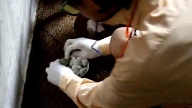 Делаем татуировку дома.wmv смотреть онлайн