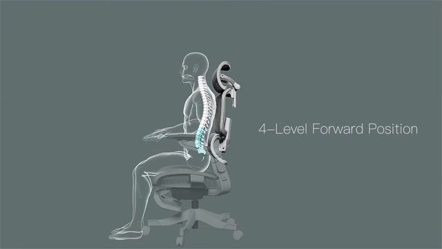 Hinomi H1 Pro Best Lumbar Support Ergonomic Chair