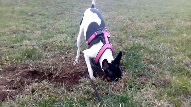 Супер секретные Х файлы смотреть онлайн