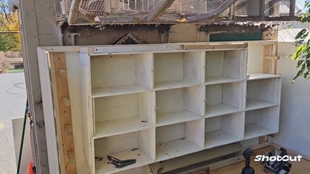 #голуби #иммиграция #сша Сенсационное стройка / перестройка ! смотреть онлайн