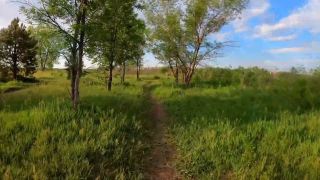 Я назло тебе приехала, настроение испортить с утра пораньше и буду сидеть здесь, сказала свекровь. смотреть онлайн