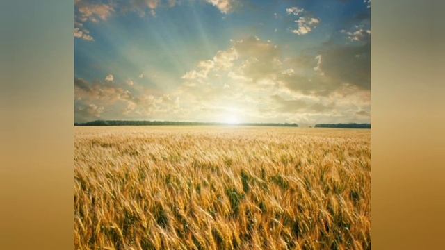 Омар Хайям. Мудрости жизни. Рубаи. смотреть онлайн