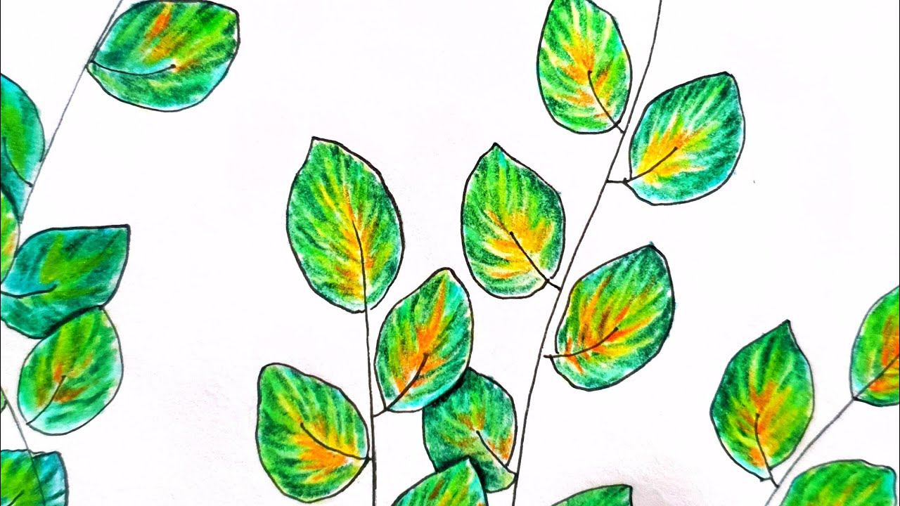 Листик цветными карандашами смотреть онлайн